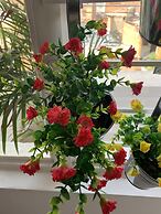 Apto muy bien ubicado- Home ARIS 401