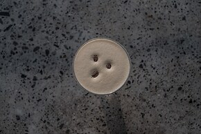 Exceptional 2 BR Suites in Ubud Hidden Gem