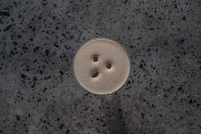 Exceptional 2 BR Suites in Ubud Hidden Gem