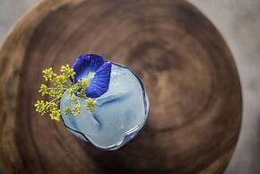 Exceptional 2 BR Suites in Ubud Hidden Gem