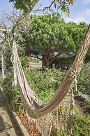 Casa Trivetia - Alentejo