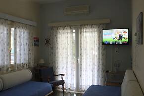 Hector Villa Airport