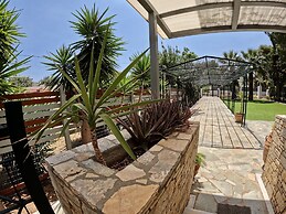 Hector Villa Airport