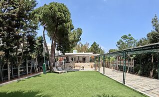 Hector Villa Airport