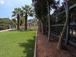 Hector Villa Airport