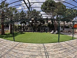 Hector Villa Airport