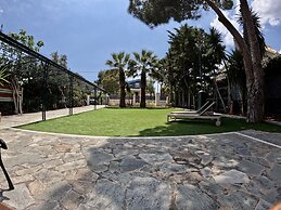 Hector Villa Airport