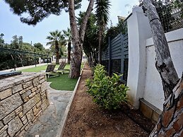 Hector Villa Airport