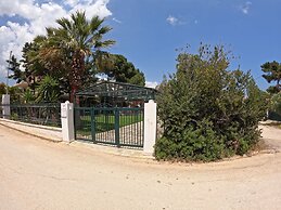 Hector Villa Airport