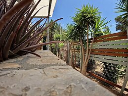 Hector Villa Airport