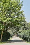 Olympios Zeus Hotel Bungalows