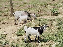 Hotel Fazenda Ararita