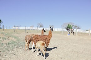 Hotel Fazenda Ararita