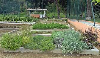 Hotel Fazenda Ararita