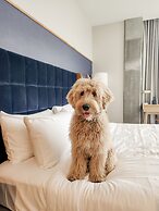 Jasper Hotel