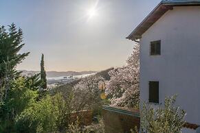 House In The Vineyards