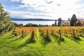 House In The Vineyards