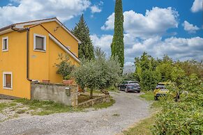 House In The Vineyards