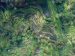 Astonishing Jungle Villa, 4 BR, Ubud With Staff