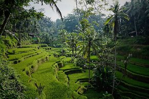 Astonishing Jungle Villa, 4 BR, Ubud With Staff