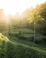 Astonishing Jungle Villa, 4 BR, Ubud With Staff