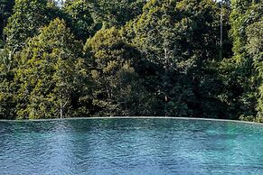 Limitless Jungle Villas Complex, 5 BR, Ubud With Staff