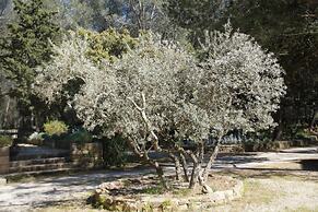 Le Domaine d'Alèzen