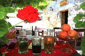 Apartment & Rooms Savonari