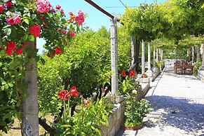 Apartment & Rooms Savonari