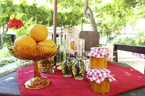 Apartment & Rooms Savonari