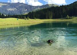 Luxury Chalet Near Megeve