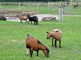 Wooden Chalet With Dishwasher, Near Maastricht