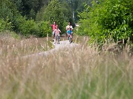 Comfortable Chalet in the Green Achterhoek