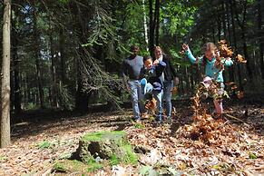 Comfortable Chalet in the Green Achterhoek