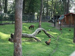 Well Furnished Chalet with Garden near Brunssummerheide