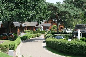 Wooden Chalet With Wifi Near Brunssummerheide