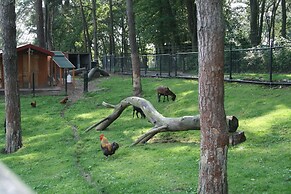 Wooden Chalet With Wifi Near Brunssummerheide