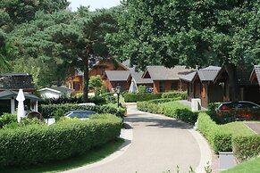 Wooden Chalet With Wifi Near Brunssummerheide