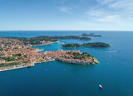 Charming Villa With Heated Pool Near Rovinj