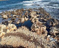 Holiday Home in Valtura With Garden