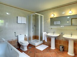 Holiday Home in Rojnici With Pool