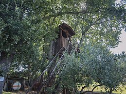 Charming Apartment in Pula With Swimming Pool