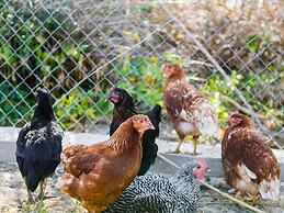 Beautiful Luxe Villa in Private Olive Grove, sea and Mountain View, Cl