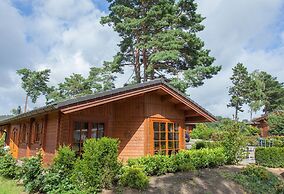 Comfortable Wooden Chalet in the Achterhoek