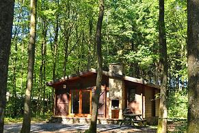 Cozy, Wooden Chalet With a Microwave, Located in a Forest