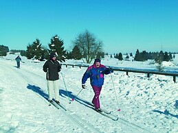 Cozy, Wooden Chalet With a Microwave, Located in a Forest