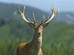 Cozy, Wooden Chalet With a Microwave, Located in a Forest