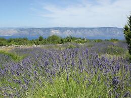 Spacious Villa at Stunning Island of Hvar With Private Pool