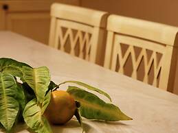 Spacious Villa at Stunning Island of Hvar With Private Pool