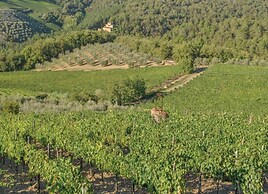 Charming Chianti Retreat